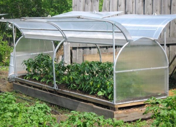 contenitore per il pane in serra