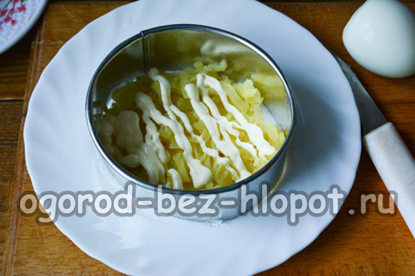 Étalez une couche de pommes de terre râpées avec de la mayonnaise.