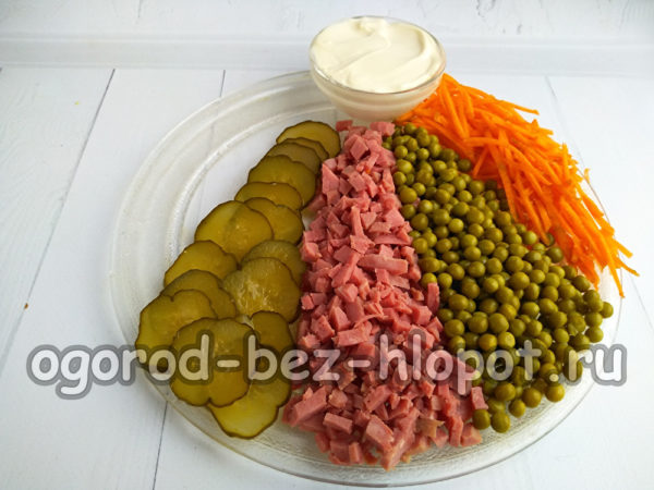 Coloca los ingredientes de la ensalada