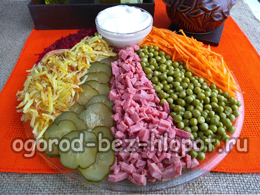 Ensalada arcoíris con patatas fritas