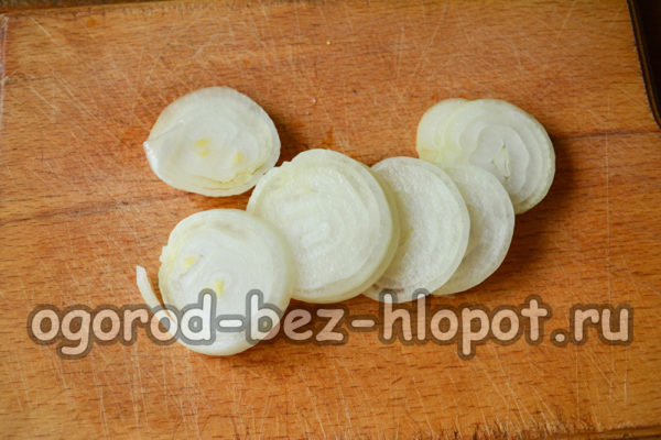 tagliare la cipolla ad anelli