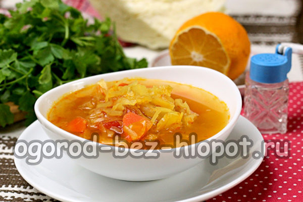 Yağ yakıcı çorba hazır