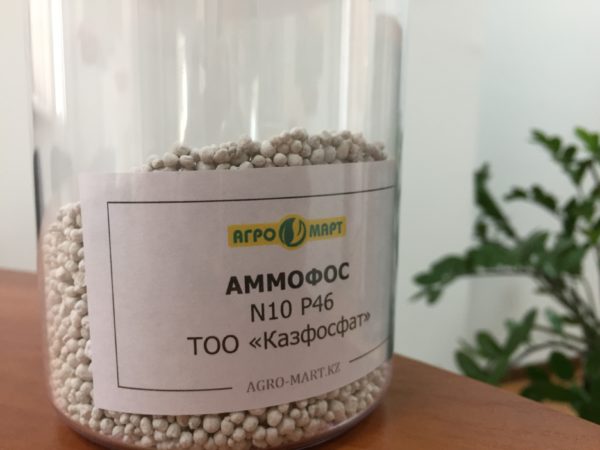 Влиянието на тора върху растенията