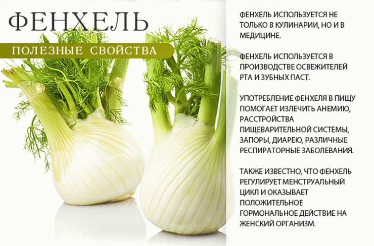 Ευεργετικές ιδιότητες του μάραθου