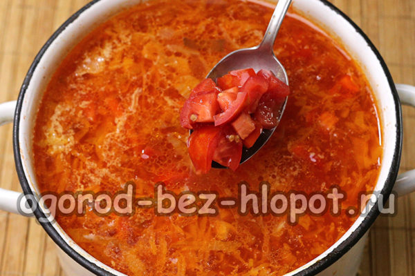 بورشت أوكراني