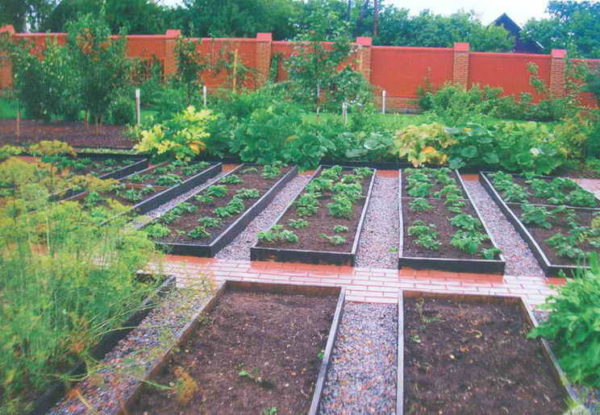 jardín y huerto