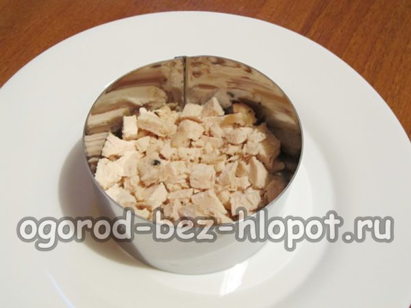 couche de viande de poulet