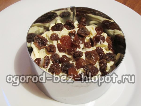 couche de raisins secs