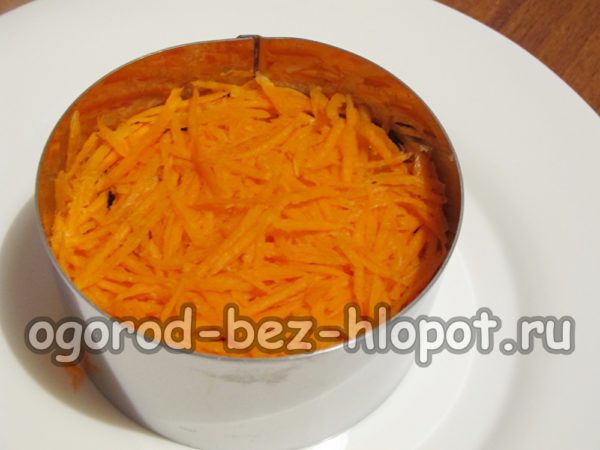 une couche de carottes