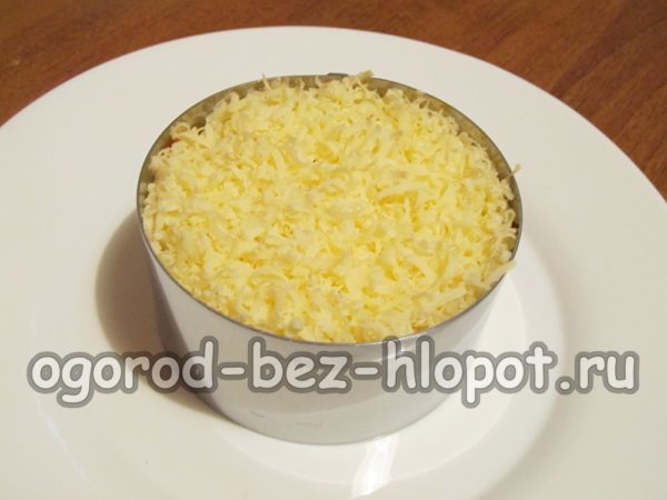 une couche de fromage à pâte dure