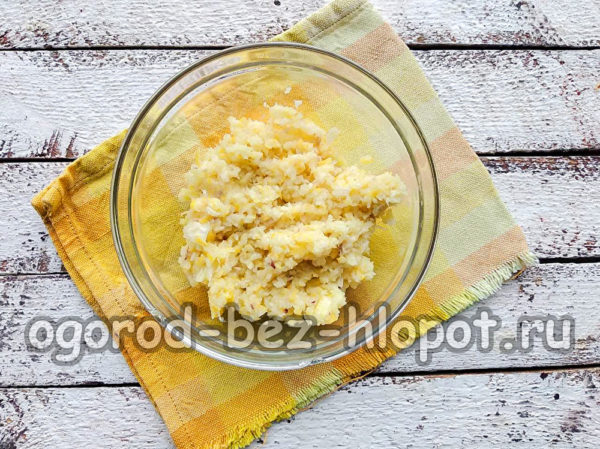Ingwer und Zitrone mischen