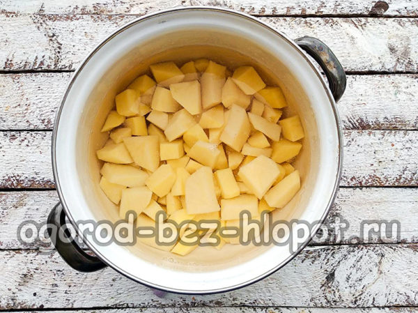 faire bouillir les pommes de terre