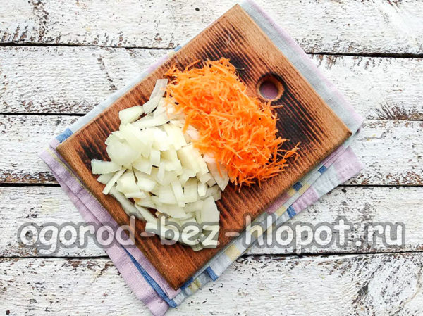Hachez l'oignon, râpez les carottes.