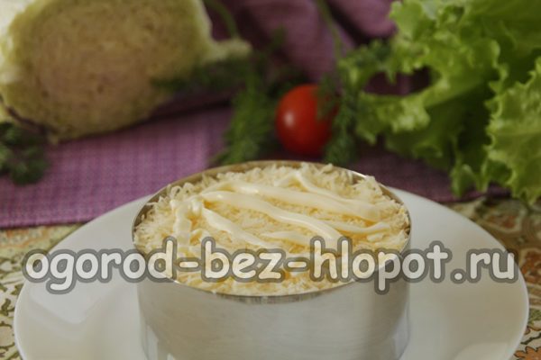 ένα στρώμα σκληρού τυριού