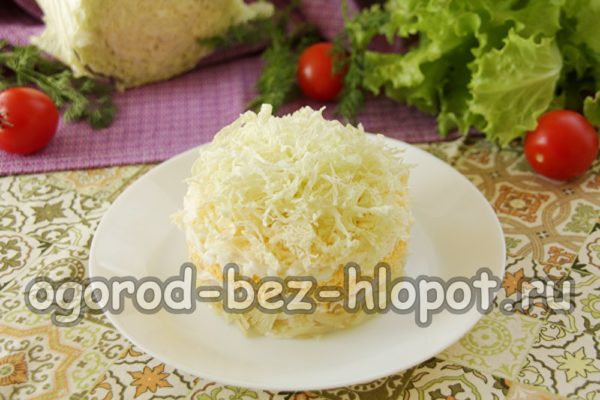 ένα στρώμα κινέζικου λάχανου