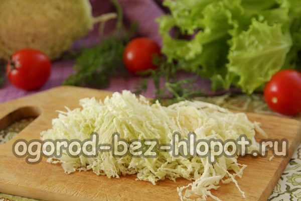 ψιλοκόψτε το κινέζικο λάχανο