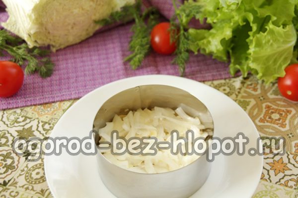 ένα στρώμα από τουρσί κρεμμύδια