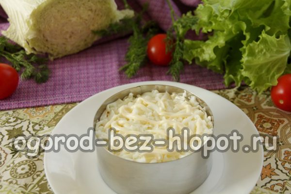 πρωτεϊνικό στρώμα