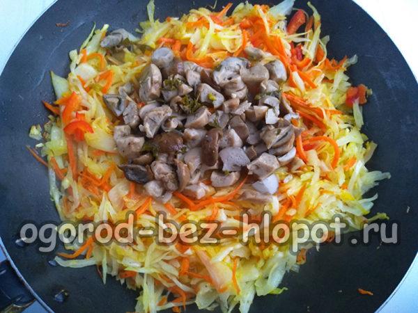 mettre des champignons