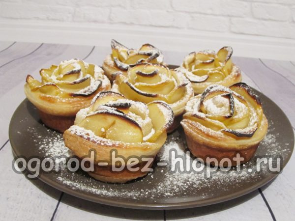 Apfelrosen sind bereit