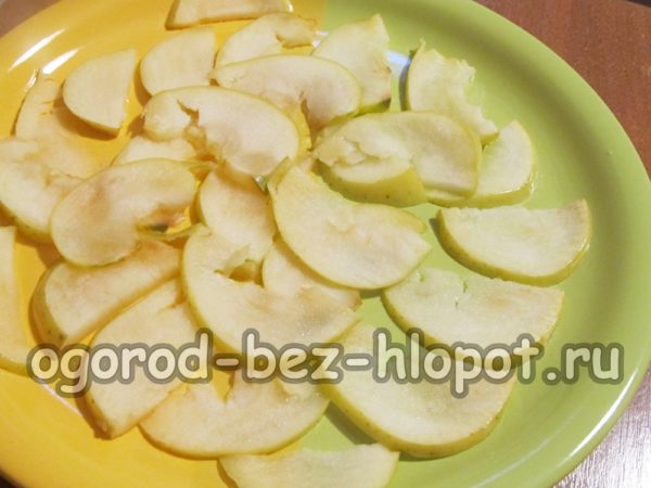 Die Scheiben in der Mikrowelle backen.