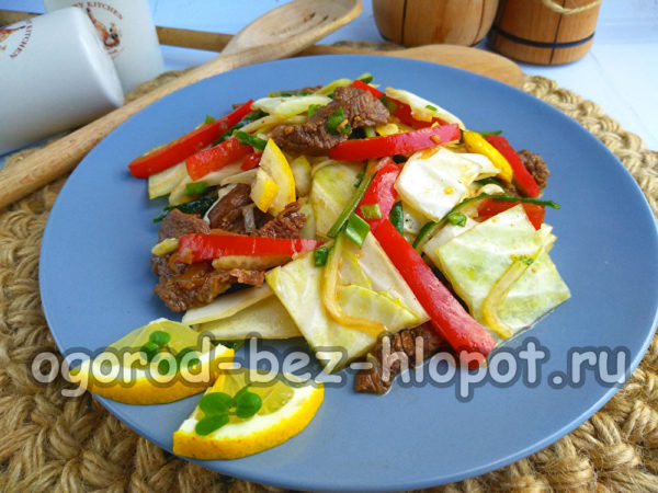 insalata di cavolo e carne pronta