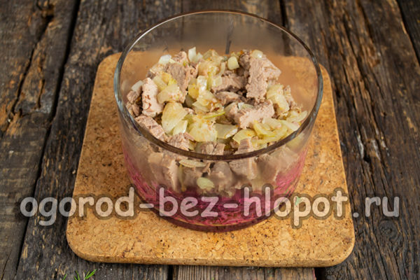 couche de viande avec des oignons