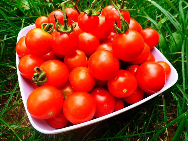 tomates à mariner