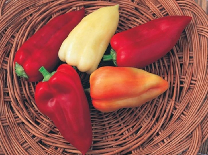 variété Czardas