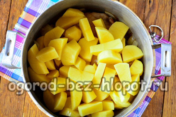 Kartoffeln hinzufügen und Wasser dazugeben