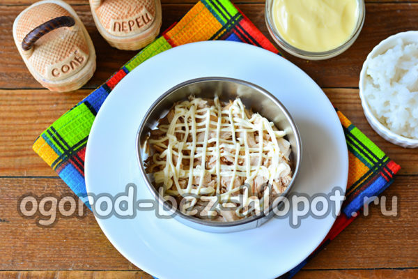 couche de filet avec de la mayonnaise