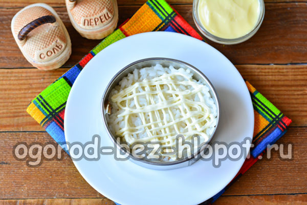 couche de riz