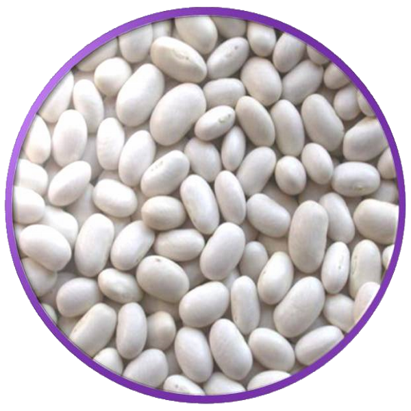 contre-indications des haricots