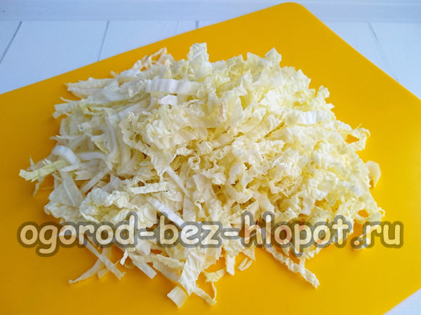 Den Kohl zerkleinern
