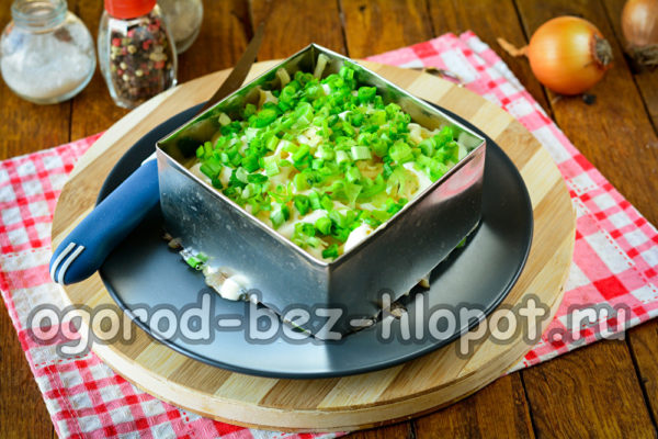 γαρνίρετε με πράσινα κρεμμυδάκια