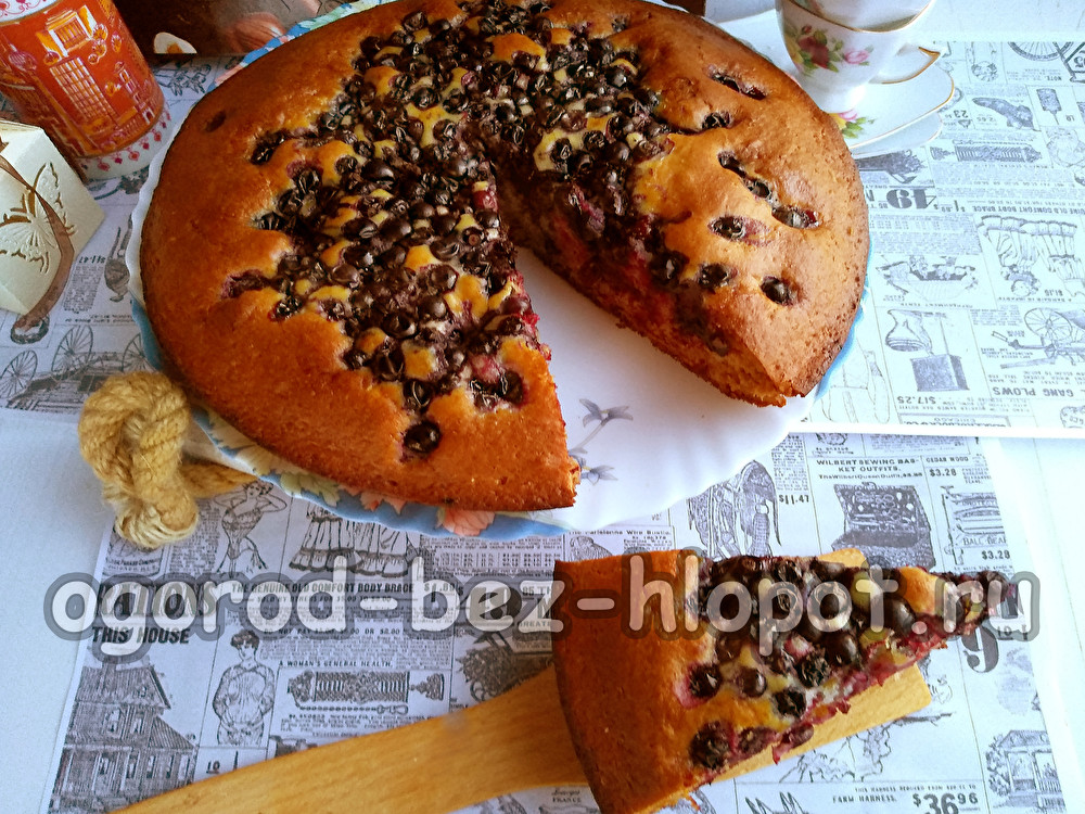 Charlotte avec des cassis congelés