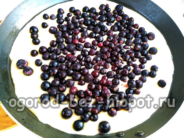 parsemer les raisins secs sur la pâte