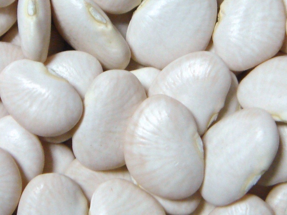 Limabohnen