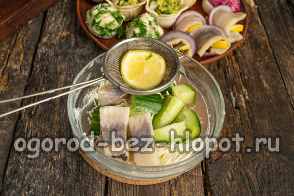 mélange d'œufs, concombre, hareng, fromage, jus de citron