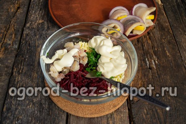 Mélange de betteraves, jaune d'œuf, aneth, hareng, mayonnaise