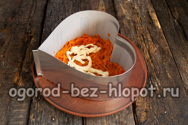 strato di carote grattugiate
