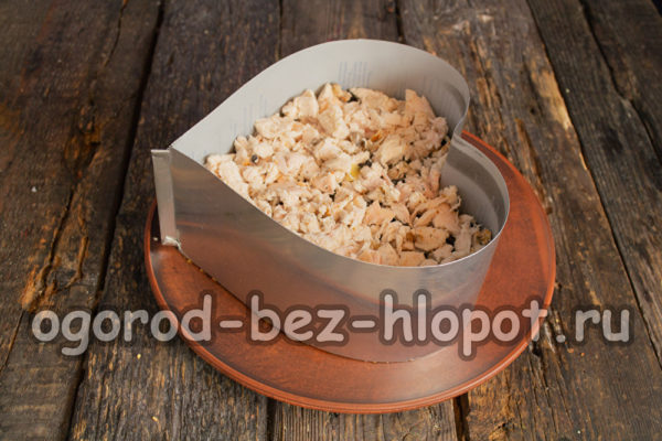 strato di carne di pollo