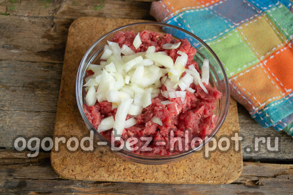 Zwiebel