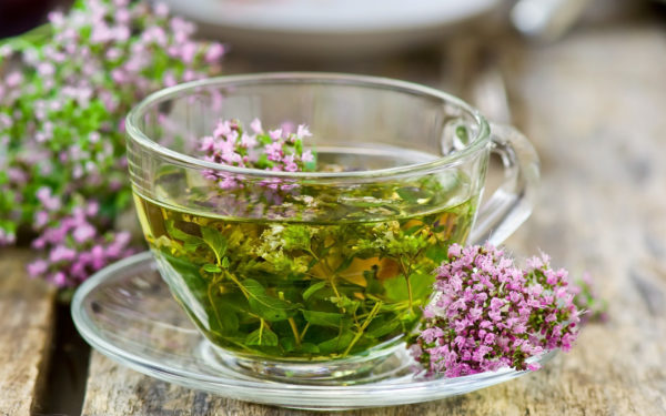 Infusions à base de plantes