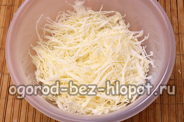 cavolo cappuccio tritato
