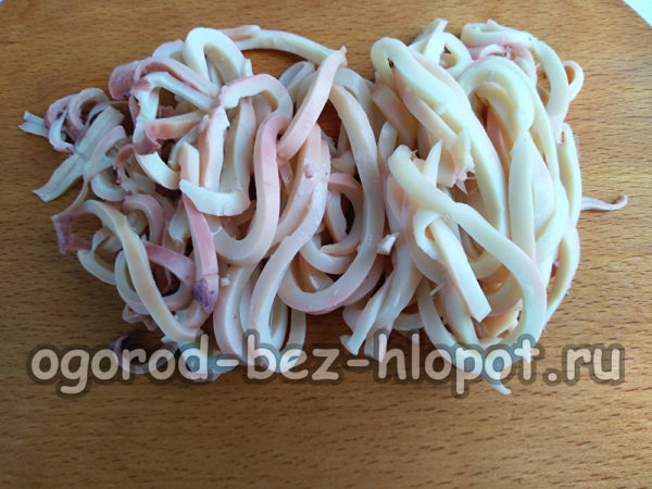In halbe Ringe schneiden
