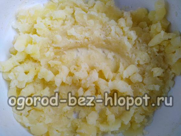 patata