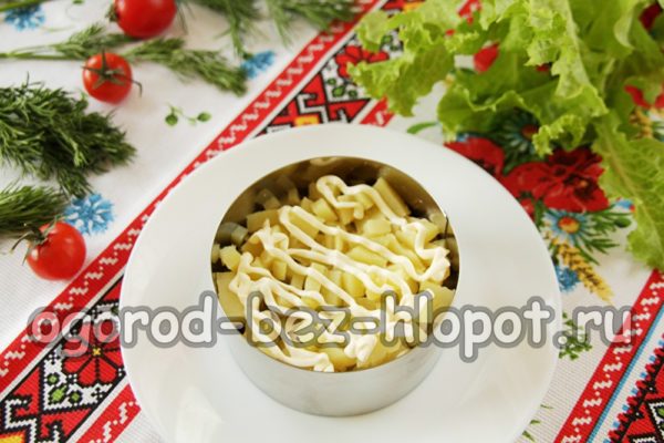 طبقة من البطاطس
