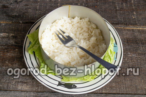 Déposez du riz dessus, badigeonnez de mayonnaise.