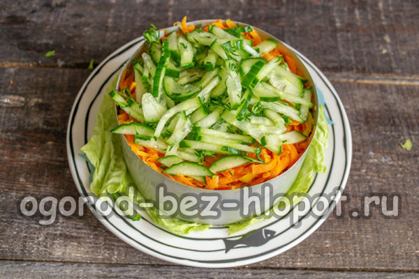 une couche de concombre frais et d'aneth